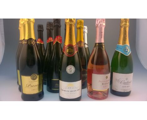 *15 x Bottles assorted sparkling Wine