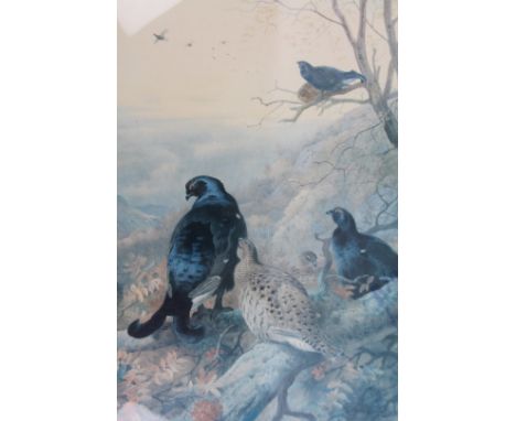 After Archibald Thorburn. Birds in an autumn setting, limited edition print, no.403/500, 48cm x 36cm. 