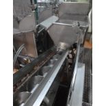 16 in. diam. x. 14 ft. L s/s screw conveyor with hopper