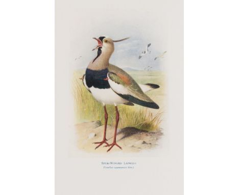 NO RESERVE Birds.- Hudson (W.H.) Birds of La Plata, 2 vol., first edition, 22 colour plates, original decorative cloth, small