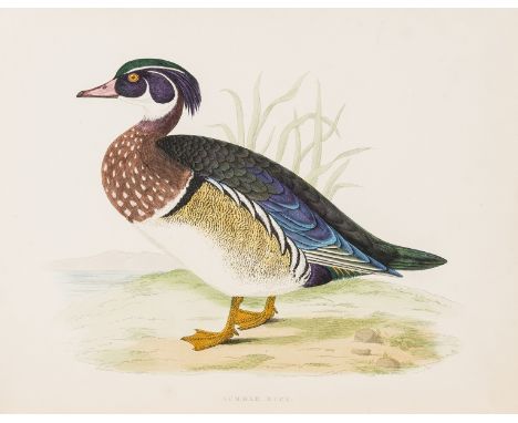 Morris (Beverley R.) British Game Birds and Wildfowl, first edition, 60 hand-coloured plates, spotting and foxing, light fing