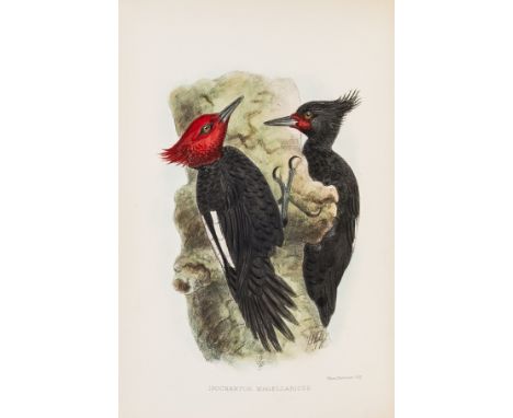 Birds.- Crawshay (Richard) The Birds of Tierra del Fuego, first edition, limited edition of 300, this copy 'out of series', 2