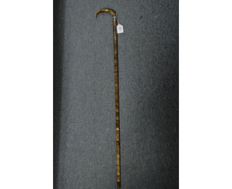 A segmented horn walking stick with silver collar.