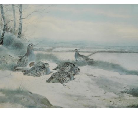 Archibald Thorburn (1860-1935). Pheasants in a winter landscape, Fryern Gallery, limited edition print no. 335/500, 29cm x 39