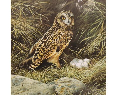 Large signed limited edition print of a Tawny owl by Terence James, 140/500. Not available for in-house P&amp;P, contact Paul