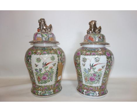 A pair of 20th century Chinese famille rose temple jars and covers, with Dog of Fo finial, decorated with vignettes of figure