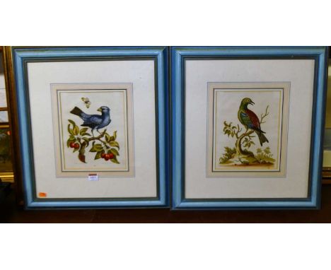After George Edwards - The Blue Gros-Beak, lithograph, 24 x 19cm; and one other (2)