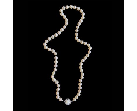 Perlen-HalsketteVerschluss in 14 ct WG, besetzt mit hellem Opal, dieser ist umgeben von einem Brillant-Kranz; Zuchtperlen; L: