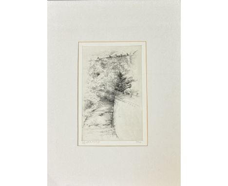 Freddy Theys (Belgium 1937-) Water of Leith, engraving print 21/45, signed and titled in pencil, in a glazed frame. (34cmx20c