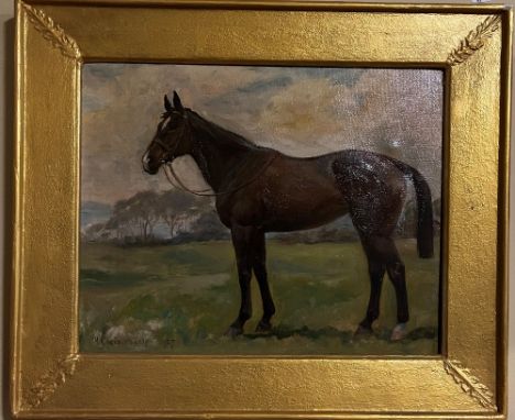Hilda Cholmondeley (1901-1979) 'Portrait of a Horse in a Seaside Field,' O.O.C., Signed lower left, 40cms x 50cms (16'' x 19 