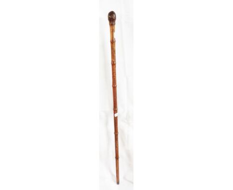 An antique bamboo horse measuring stick - old wood worm