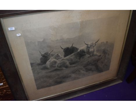 A large Victorian print depicting highland cattle in oak frame.