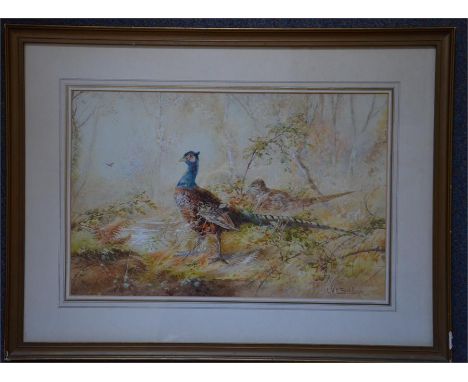Charles Henry Clifford Baldwyn (British, 1859 - 1943), 'Pheasant by the stream' watercolour, signed, framed and glazed. A Roy
