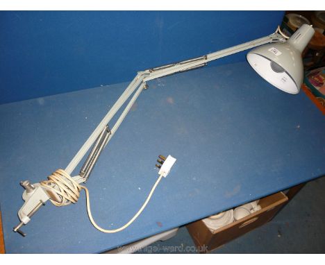 A vintage angle poise desk lamp.