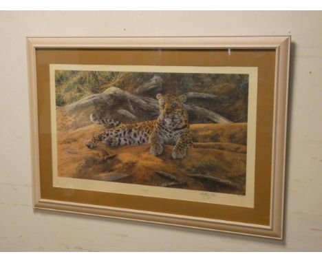 Anthony Gibbs, contemporary British, 'Dawn's first Scent', signed limited edition print of leopard, numbered 494 of 1100 edit