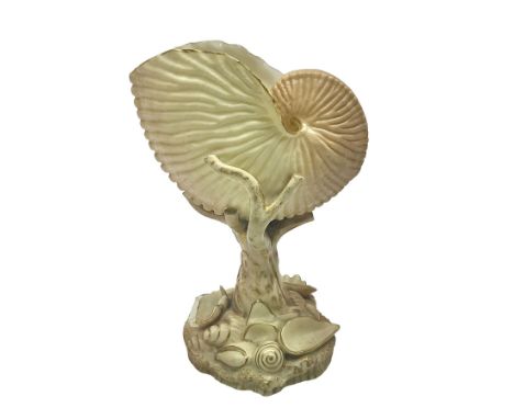 Royal Worcester blush ivory Nautilus shell with coral shape support and decorated with shells to base, mark beneath, H17cm  