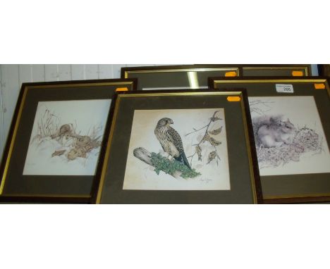 Set of 5 framed animal prints by Jenny Wiggins depicting squirrel, hawk, owl, fox and field mice 