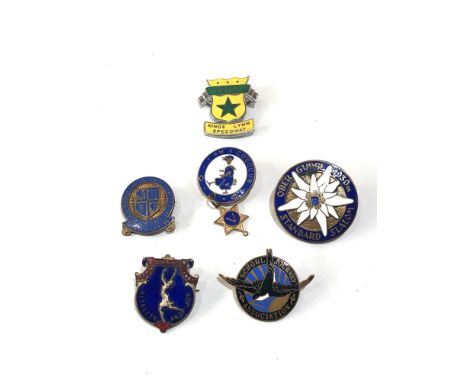 Selection of enamel badges 