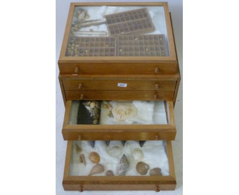 A 20th Century light oak five drawer collectors cabinetContaining a range of shells, height 57cm, width 51cm, depth 45cm.