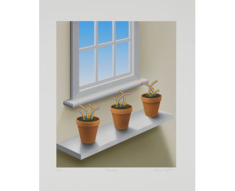 Patrick Hughes,  British b.1939-Blooming;archival pigment print on Somerset satin wove,  signed in pencil and numbered AP1/10