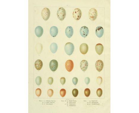 BUTLER, ARTHUR G - BRITISH BIRDS WITH THEIR NESTS AND EGGS illustrated by F. W. Frohawk. London, Brumby & Clarke, no date [ci