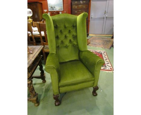 An Edwardian scrolled wingback ladies armchair the button back rest over scroll arms on carved claw in ball cabriole legs
