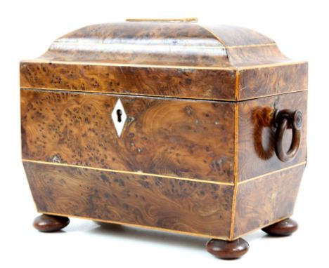 Early 19th century yew wood and boxwood tea caddy, of sarcophagus form, with two lidded compartments on pad feet, H18 W23 D11