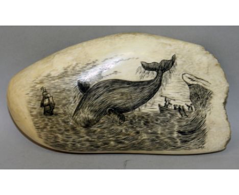Good large scrimshaw whales tooth etched with a whale hunting scene. Signed with initials M.C 5.5ins long 3ins wide overall
