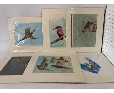 Jonathan Poole (Contemporary) - Six watercolour paintings of birds and fish in motion, signed in pencil below, 54 x 45 cm, mo