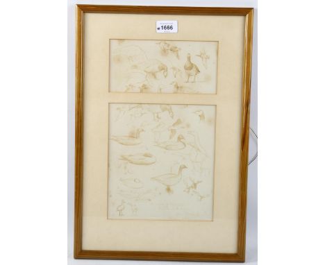 Sir Peter Scott, 2 sheets of pen and ink sketches of geese, signed and inscribed with date 1952, mounted in single frame, ove