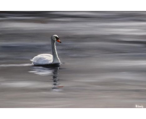Alan Lewis (B. 1944): oil on board, a lone swan on still water, 75 x 50 cm. P&amp;P Group 3 (£25+VAT for the first lot and £5