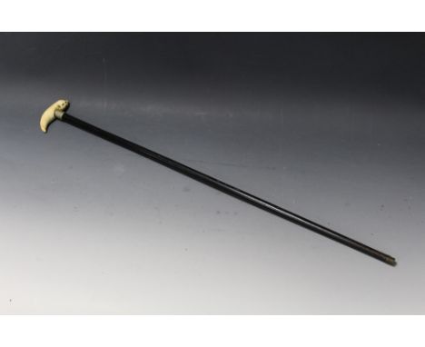 AN EARLY 20TH CENTURY BLACK LAQUERED WALKING STICK WITH TOOTH STYLE HANDLE, white metal collar, engraved 'Alice Lovejoy, Fair