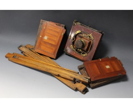 AN EARLY 20TH CENTURY THORNTON PICKARD MAHOGANY AND BRASS PLATE CAMERA, with oak tripod and various slides