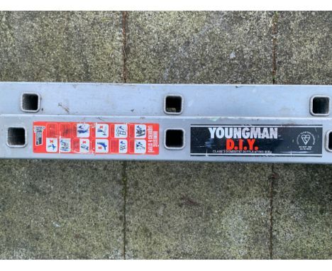 A Youngman D.I.Y extendable ladder, class 3 domestic duty rating 95kg 