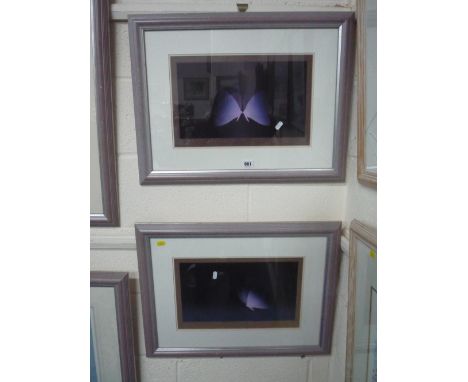 TWO FRAMED LIMITED EDITION BUTTERFLY PRINTS, indistinctly signed, Metam or Phosis and Mirror, Roze ?, each approximately 25.5