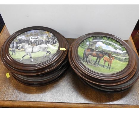 Quantity of Framed Spode Collectors Plates - Horses