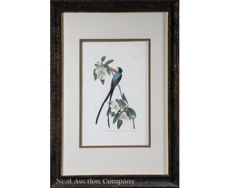 After John James Audubon (American, 1785-1851) , "Forked-Tail Flycatcher", Plate 168, color lithograph, from The Birds of Ame