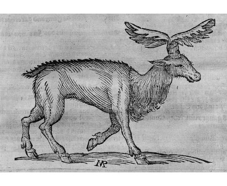 Becher, Johann Joachim. Parnassus medicinalis illustratus. Oder: Ein neues, und dergestalt, vormahln noch nie gesehenes Thier