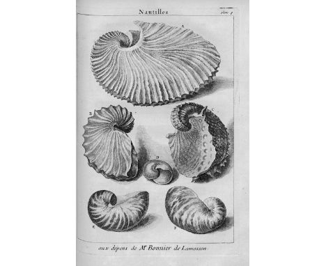 (Argenville, Antoine Joseph Dezallier de). L'histoire naturelle éclaircie dans deux de ses parties principales. La Lithologie