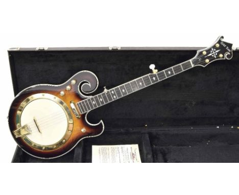 Gold Tone EBM-5 five string electric banjo, sunburst finish, with 8" skin and 26.5" scale, oblong hard case