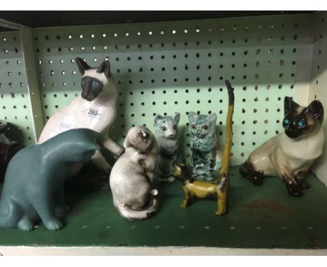 SHELF OF CHINA CATS