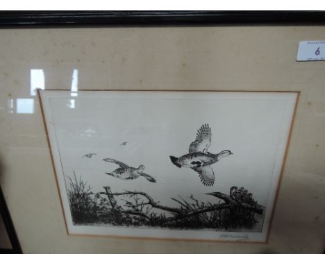 Four etchings bird interest after R B Woodhouse