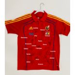 Spain 2010 World Cup signed jersey