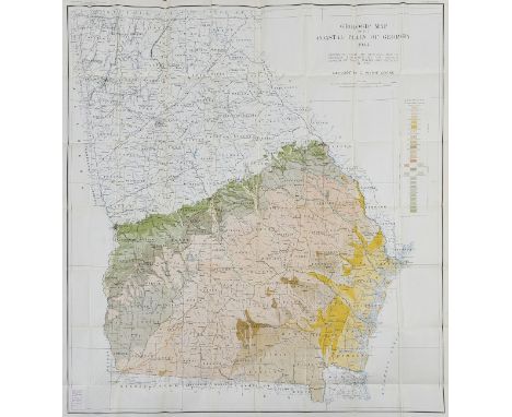 NO RESERVE America.- Mining.- Georgia Div. of Mines (publisher) Geologic Map of the Coastal Plain of Georgia 1944, detailed p