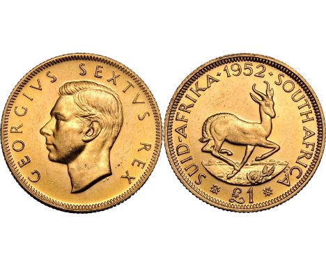SOUTH AFRICA. Gold one pound, 1952. Pretoria. George VI. Portrait of King George VI, GEORGIVS SEXTVS REX. // Springbok right 