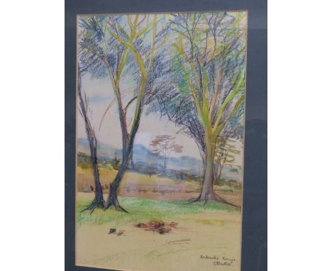 E.BOSTOCK.  (1917-2006)  ARR.   AMBOSELLI, KENYA, SIGNED PASTEL AND WATERCOLOUR.   43 x 29cms  TOGETHER WITH A LIMITED EDITIO