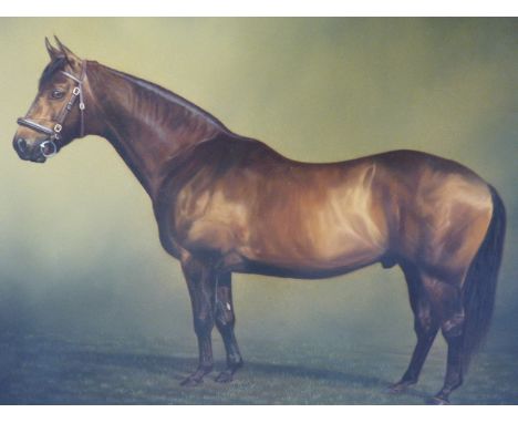STEPHEN BISHOP.  CONTEMPORARY.  ARR.   PORTRAIT OF A HORSE, SIGNED AND DATED 2004, OIL ON CANVAS.   71 x 92cms TOGETHER WITH 