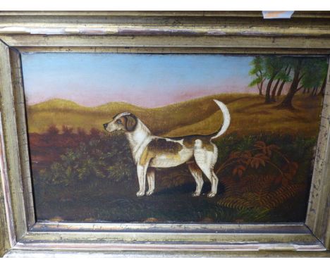 ENGLISH NAIVE SCHOOL.   PORTRAIT OF A HOUND, OIL ON PANEL.   19.5 x 29cms.