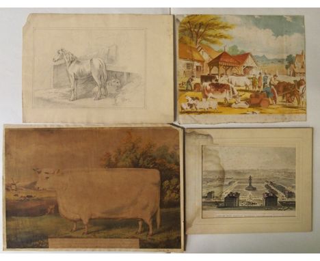 H M CARRY London Flat cattle show 1874, print, 29 x 41cm and five others various (6) Condition Report: Available upon request