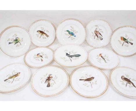 A collection of twelve 19th century ornithological painted dishes (including one footed), with each bird's name inscribed ver